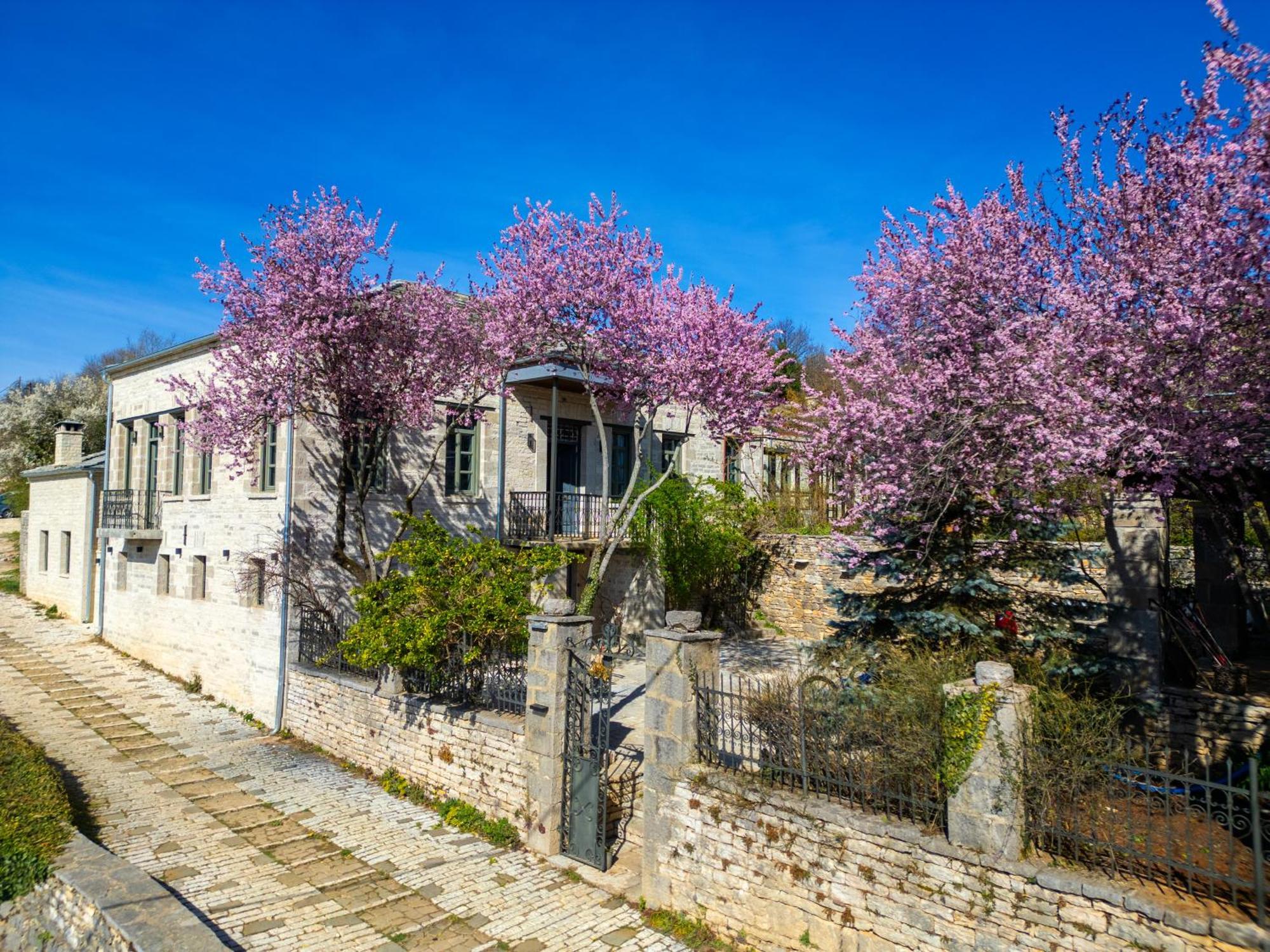 Hotel Katikia Zagori Vitsa Exterior foto